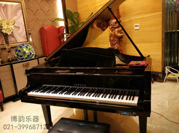 上海闵行星海湾私人客户-鲍德温自动演奏系统
