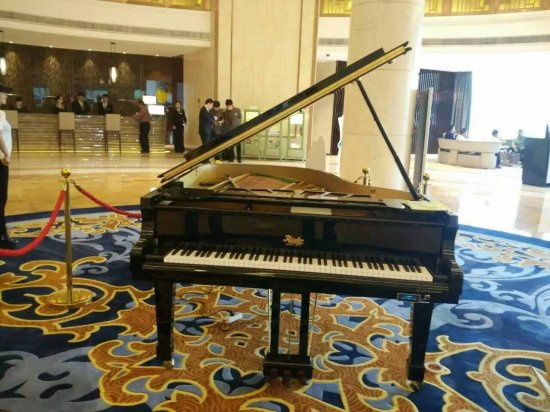 罗瑟钢琴RG200-魔指自动演奏系统